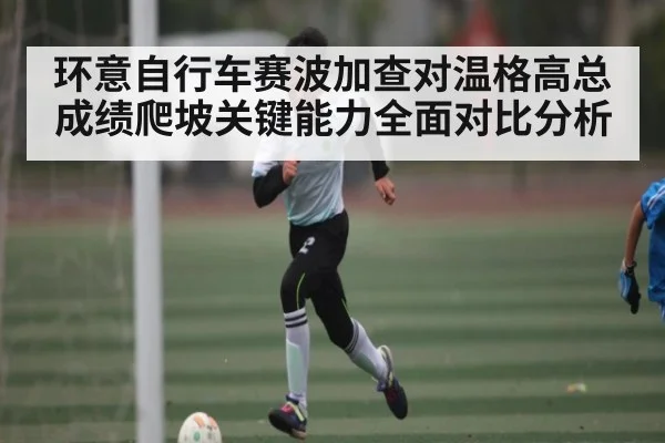 环意自行车赛波加查对温格高总成绩爬坡关键能力全面对比分析